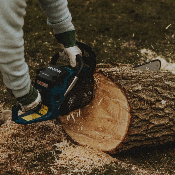 man cutting a tree trunk